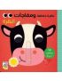 البقرة