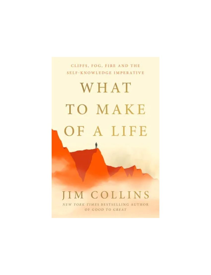What to Make of a Life