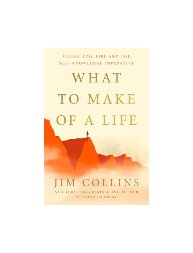 What to Make of a Life